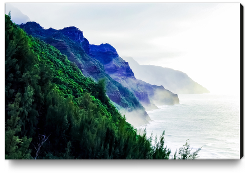 green mountain with ocean view at Kauai, Hawaii, USA Canvas Print by Timmy333