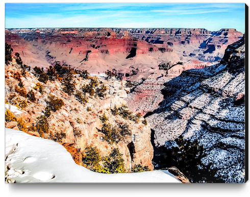 desert at Grand Canyon national park, USA in winter with snow and blue sky Canvas Print by Timmy333