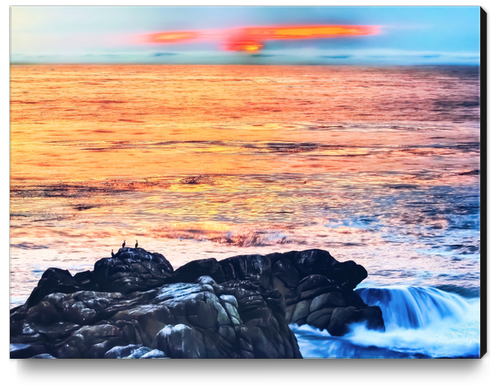 ocean sunset with sunset sky and horizon view in summer Canvas Print by Timmy333