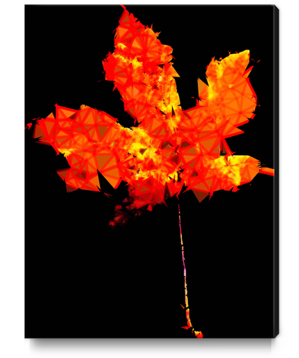 orange and yellow geometric polygon maple leaf abstract with black background Canvas Print by Timmy333