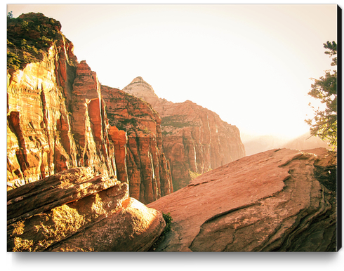 mountain at Zion national park, USA Canvas Print by Timmy333