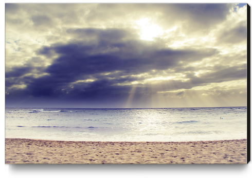 summer beach at Kauai, Hawaii, USA Canvas Print by Timmy333