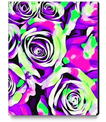 pink purple and green roses texture abstract background Canvas Print by Timmy333