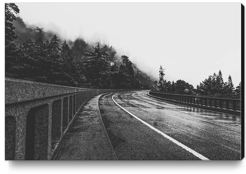 bridge in the forest in black and white Canvas Print by Timmy333