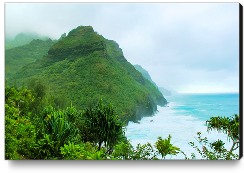 green mountain with blue ocean view at Kauai, Hawaii, USA Canvas Print by Timmy333