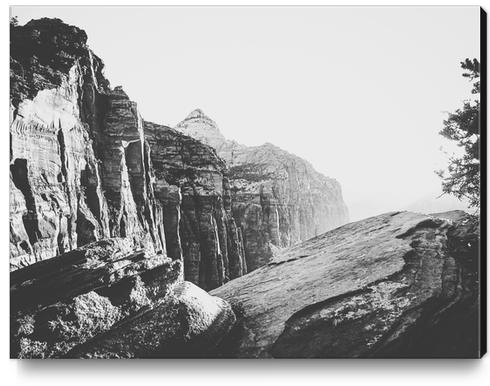 mountain view at Zion national park, USA with summer sunlight in black and white Canvas Print by Timmy333