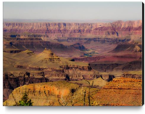 texture of rock and stone at Grand Canyon national park, USA Canvas Print by Timmy333