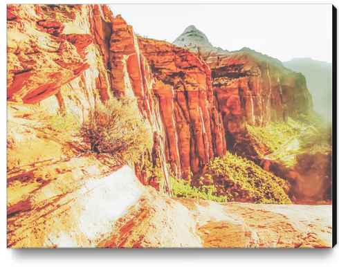 mountain view at Zion national park, USA with summer sunlight Canvas Print by Timmy333