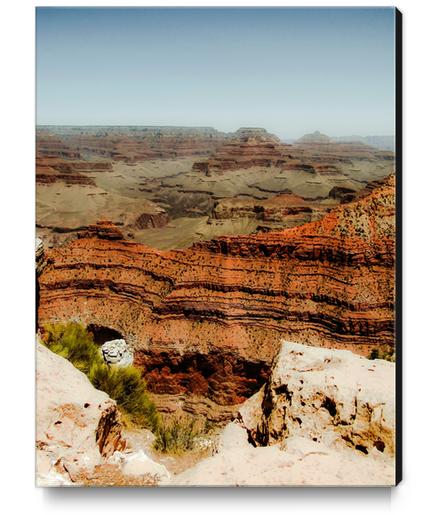 Grand Canyon national park, USA Canvas Print by Timmy333