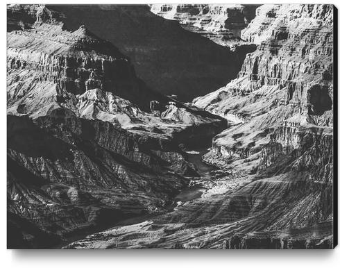 texture of the desert at Grand Canyon national park, USA in black and white Canvas Print by Timmy333