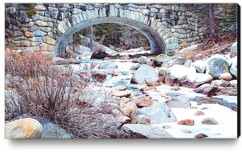 river covered with snow at Sequoia national park, USA Canvas Print by Timmy333