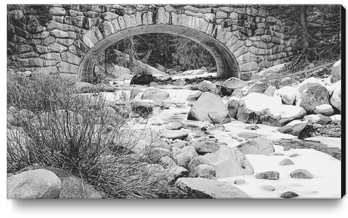 river covered with snow at Sequoia national park, USA in black and white Canvas Print by Timmy333