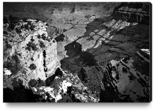 winter at Grand Canyon national park, USA in black and white Canvas Print by Timmy333