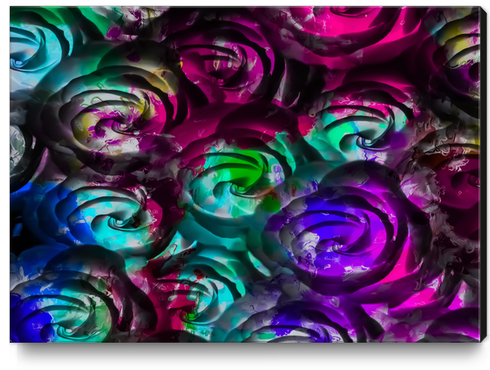 closeup rose texture pattern abstract background in red purple blue Canvas Print by Timmy333