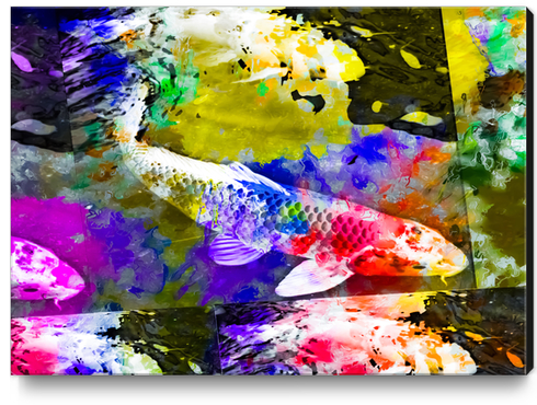 koi fish with painting texture abstract background in red blue yellow pink Canvas Print by Timmy333