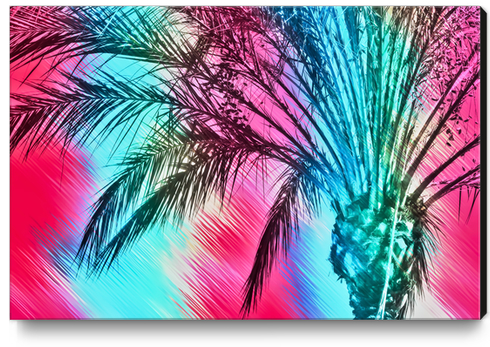 isolate palm tree with painting abstract background in pink and blue Canvas Print by Timmy333