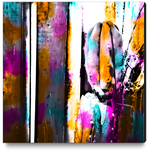 cactus with wooden background and colorful painting abstract in orange blue pink Canvas Print by Timmy333