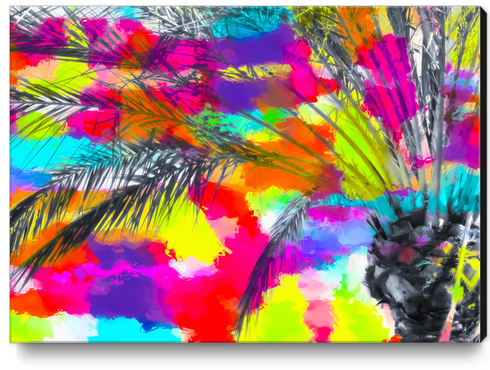 palm tree with splash painting abstract background in red pink yellow blue Canvas Print by Timmy333