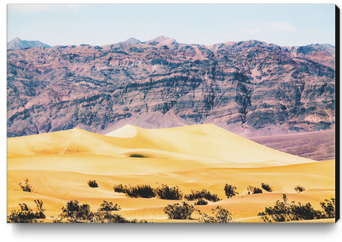 sand desert with mountain background at Death Valley national park, USA Canvas Print by Timmy333