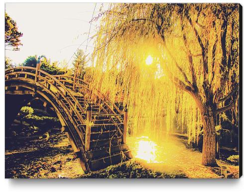 summer light in the garden with tree and wooden bridge Canvas Print by Timmy333