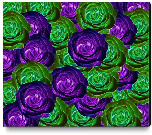 blooming rose texture pattern abstract background in purple and green Canvas Print by Timmy333