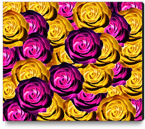 blooming rose texture pattern abstract background in pink and yellow Canvas Print by Timmy333