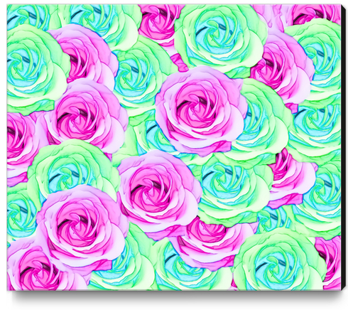 blooming rose texture pattern abstract background in pink and green Canvas Print by Timmy333