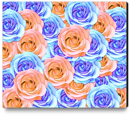 blooming rose texture pattern abstract background in red and blue Canvas Print by Timmy333