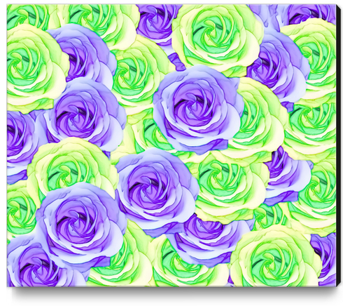 purple rose and green rose pattern abstract background Canvas Print by Timmy333