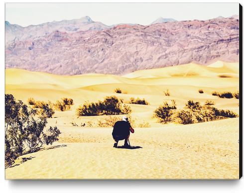 At Death Valley national park, USA in summer Canvas Print by Timmy333