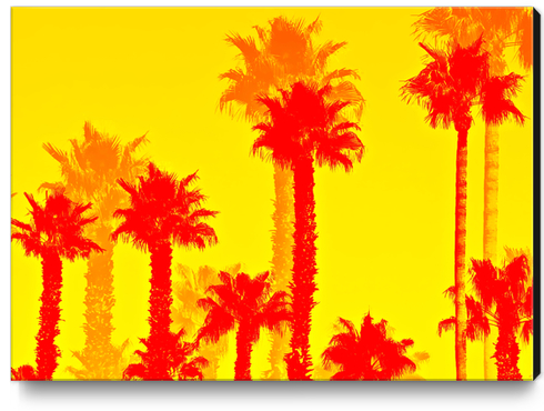 orange palm tree pattern abstract with yellow background Canvas Print by Timmy333