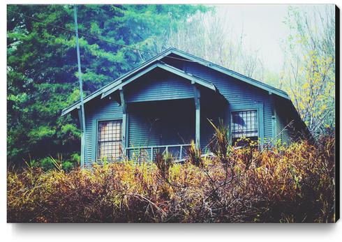 green wooden house in the forest in winter Canvas Print by Timmy333