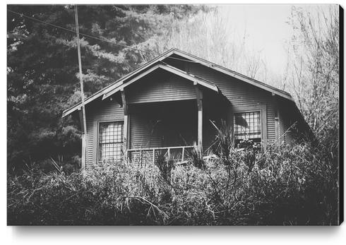 wooden house in the forest with rain in black and white Canvas Print by Timmy333