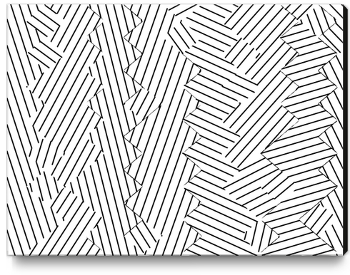 geometric line abstract pattern background in black and white Canvas Print by Timmy333