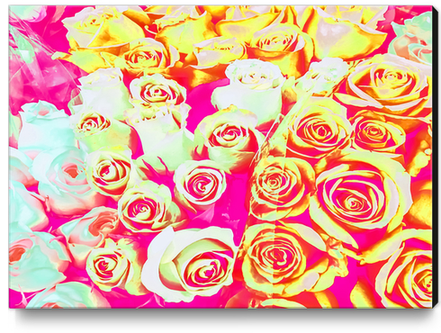 bouquet of roses texture pattern abstract in pink red yellow Canvas Print by Timmy333