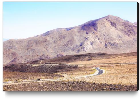 road in the middle of the desert at Death Valley national park, USA Canvas Print by Timmy333