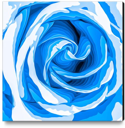 closeup blue rose texture abstract background Canvas Print by Timmy333