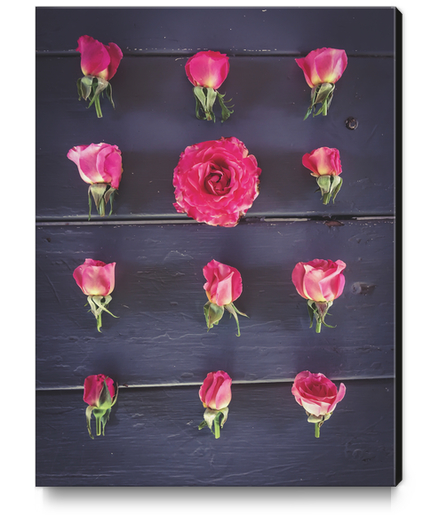 fresh and beautiful pink roses with wood background Canvas Print by Timmy333