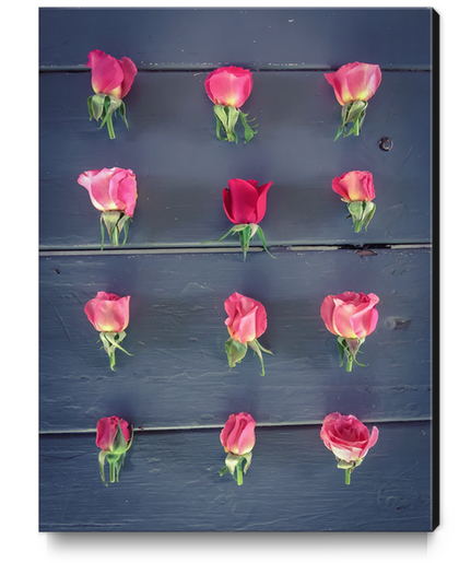 pink roses and red rose on the table Canvas Print by Timmy333