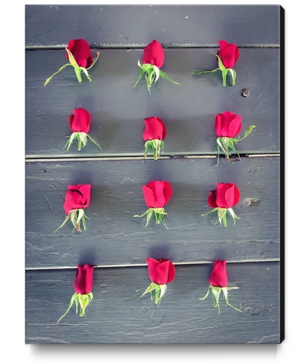 red baby roses on the wooden table Canvas Print by Timmy333