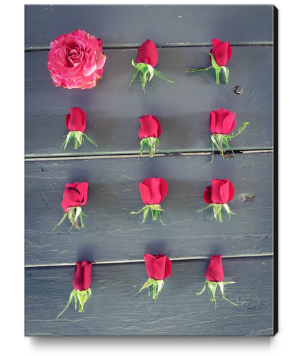 red roses and pink rose on the table Canvas Print by Timmy333