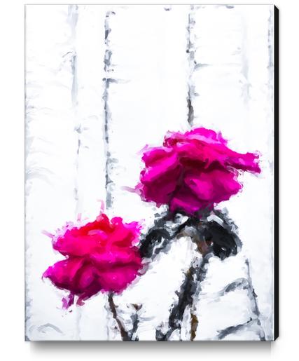 red roses with white wood background Canvas Print by Timmy333