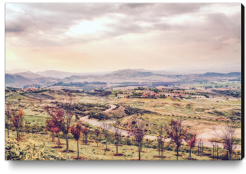 countryside view with sunset sky and green field with mountain view Canvas Print by Timmy333