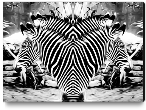 drawing and painting zebras in black and white Canvas Print by Timmy333