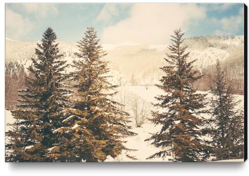 Mountains in the background XI Canvas Print by Salvatore Russolillo