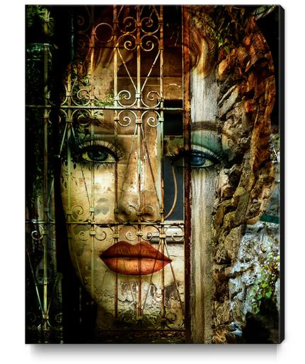 Behind the closed door Canvas Print by Gabi Hampe