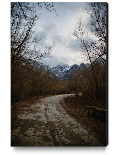 Road with mountain II Canvas Print by Salvatore Russolillo