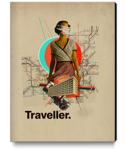 Traveller Canvas Print by Frank Moth