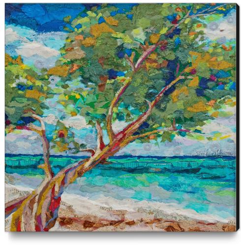 Beach Tree II Canvas Print by Elizabeth St. Hilaire