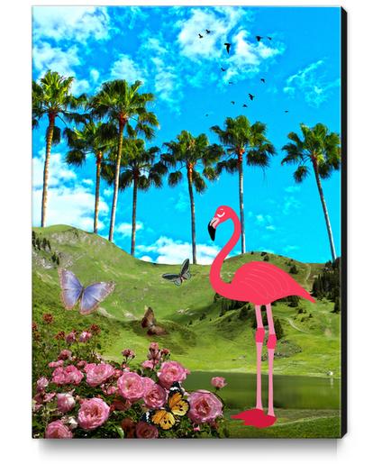 OASIS Canvas Print by GloriaSanchez